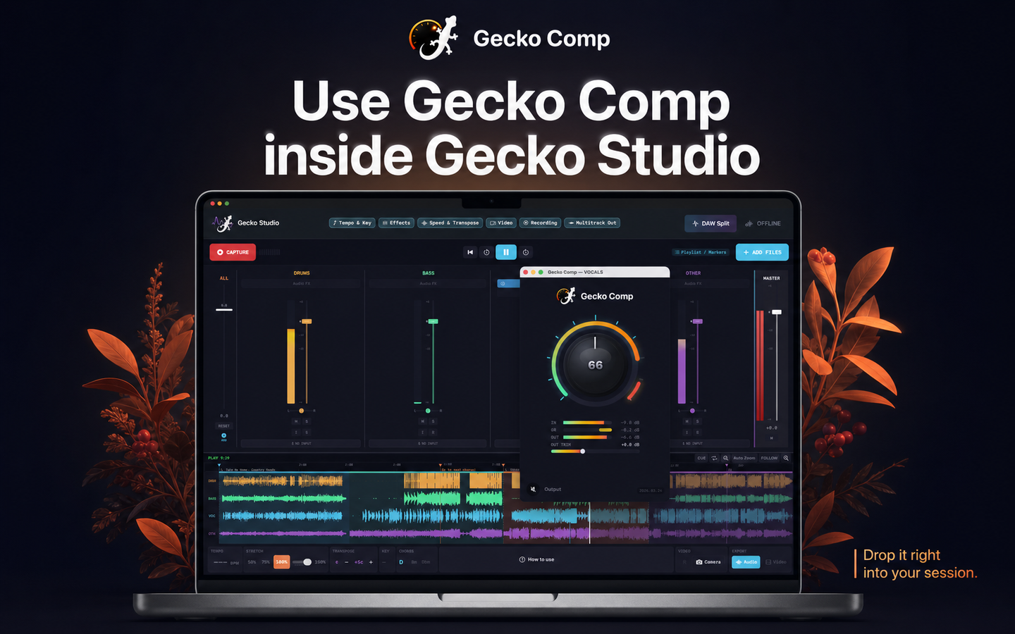 Gecko Comp binnen Gecko Studio